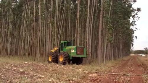 小树林吃瓜,一场别开生面的夏日盛宴  第2张